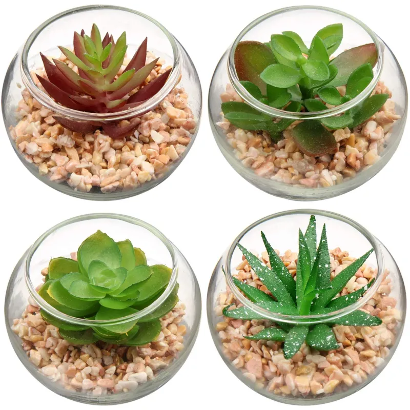 Artificial Succulents in Glass Set of 4 Plants Decoration Modern